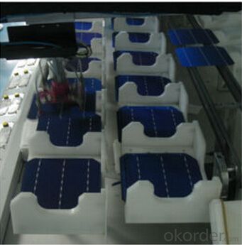 Polycrystalline  Solar Cells Series- CM16.80
