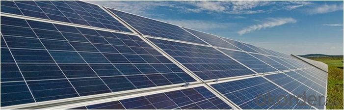 Polycrystalline Silicon Solar Panel 250W / Solar Module