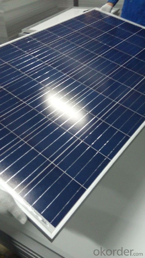 Poly 280w Solar Panels from CNBM with High Efficiency