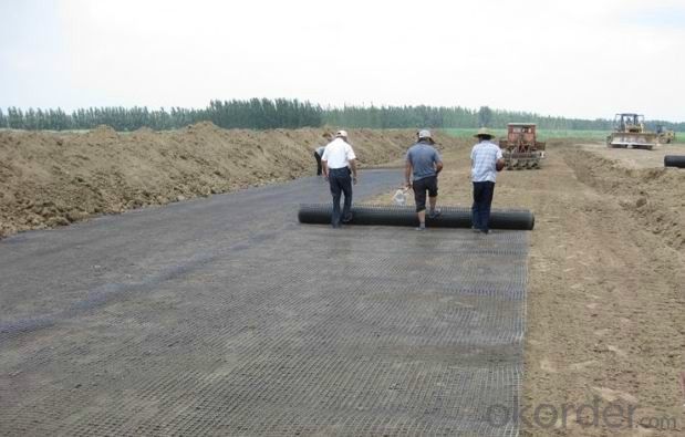 Steel Geogrid PP Baixial Geogrid Good Quality for Highway