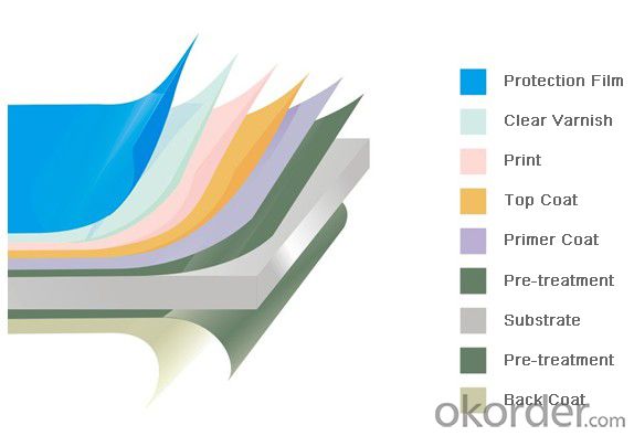 Z22 BMP Prepainted Rolled Steel Coil for Construction