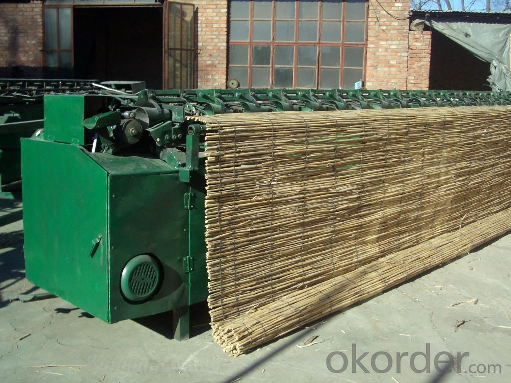 Reed Fence with Good Quality Natural Manufactuer