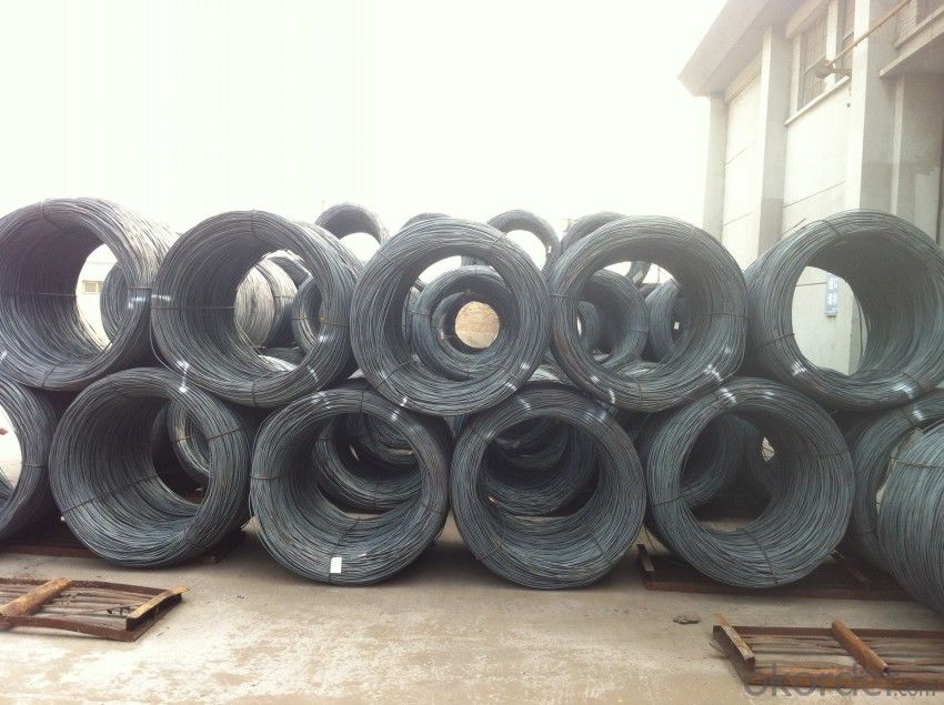 Steel Wire Rods in Grade ASTM SAE1006-1018