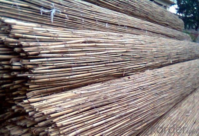 Garden Reed Fence Natural White Manufactuer