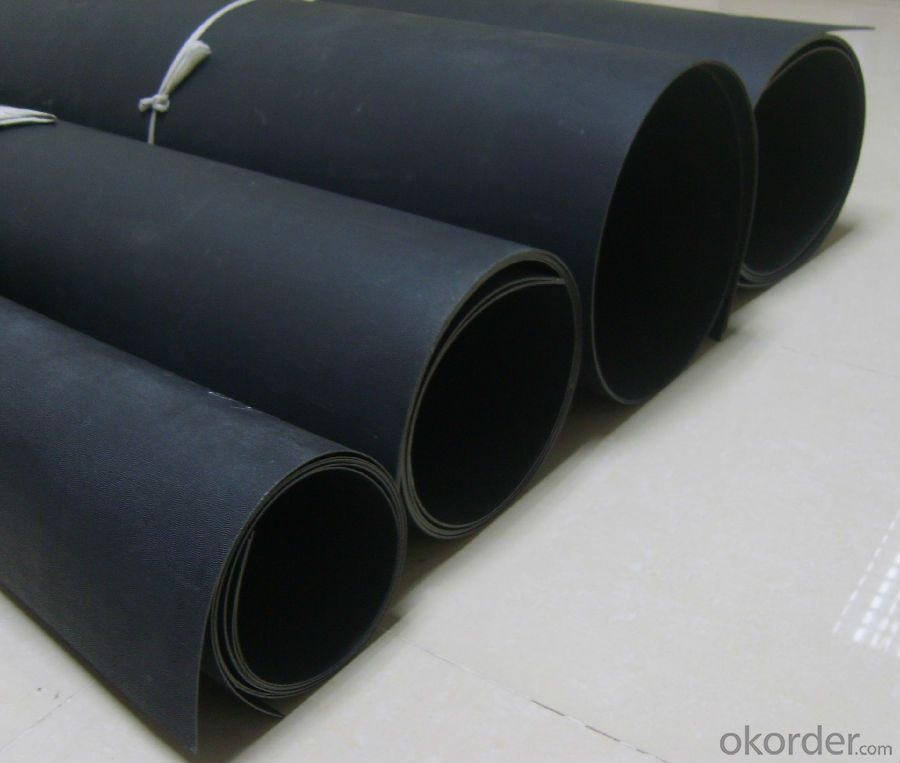 Low Density Polyethylene Geomembrane Black