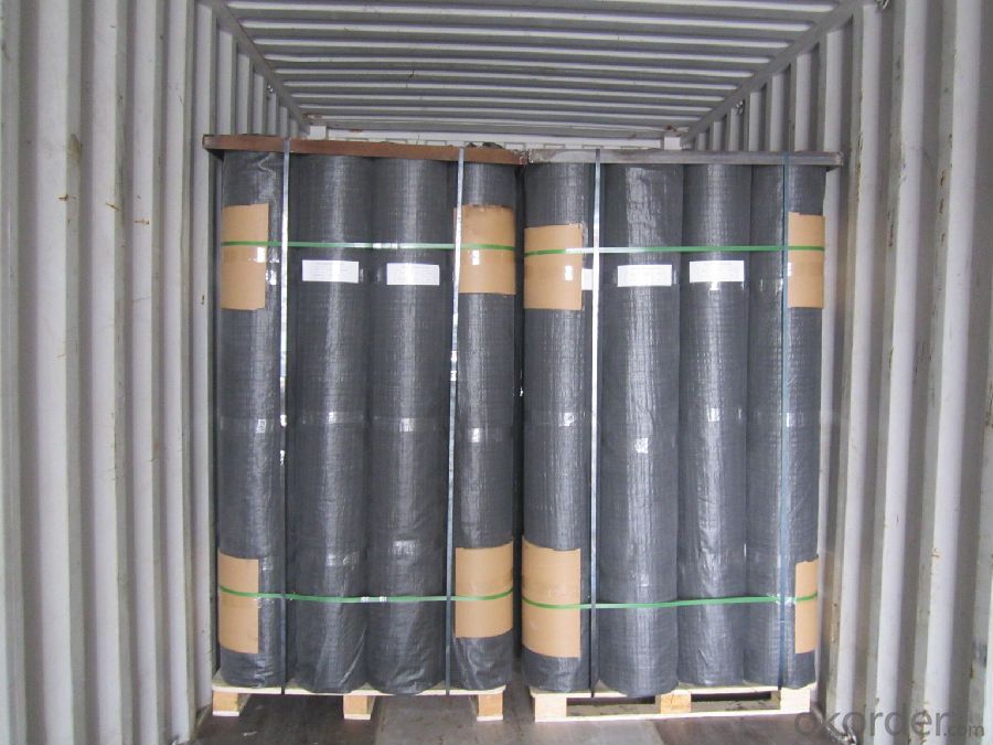 Unbiaxial Uniaxial Triaxial Platic Geogrid with Bitumen Coated Black