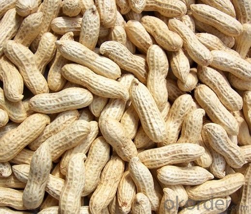 Biomass Pellet  Made by Peanut Shell calorific value 3900~4800 Kcal /kg
