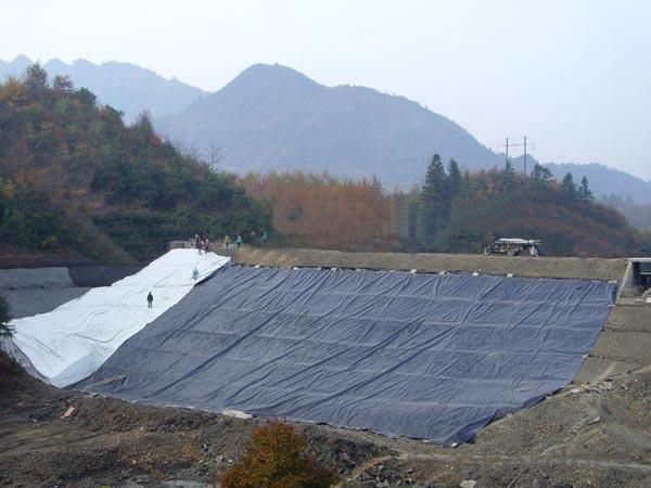 PE/EVA/ECB Geomembrane with Different Colors, Best Made in Chin, Water Proof Expert