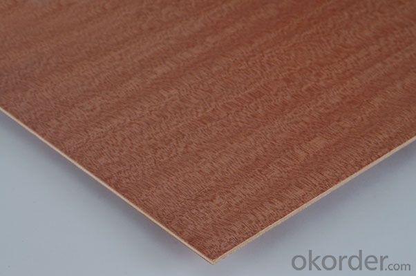Professional Film Faced Plywood Manufacturer
