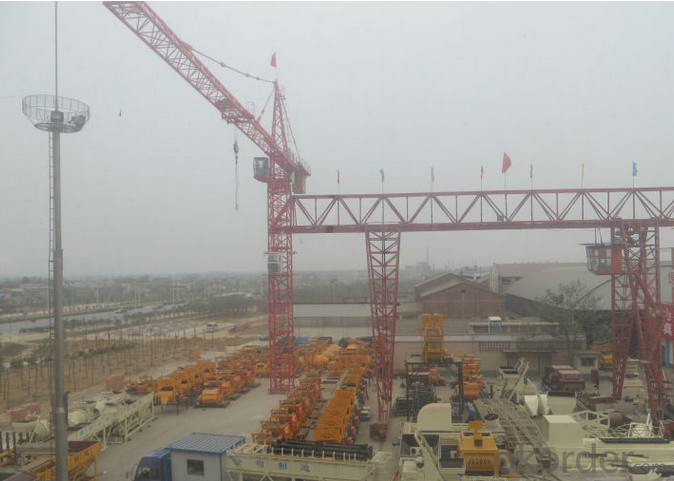 Tower Crane for Sale,Tower Crane Price manufacturer factory price TC5010