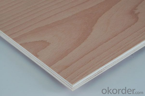Film faced Plywood for Construction ( Funiture plywood)