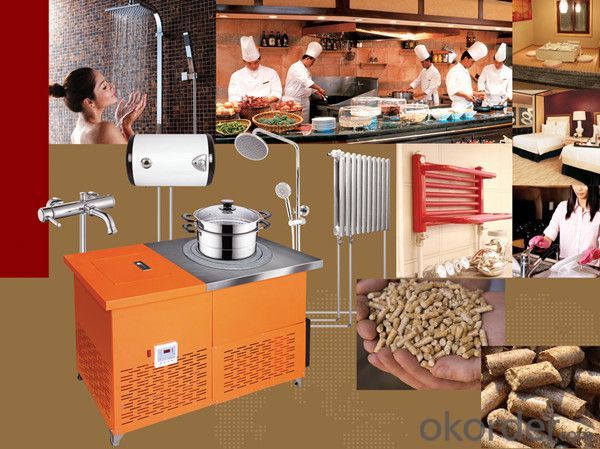 Multifunctional Biomass Pellet Cooking Stove