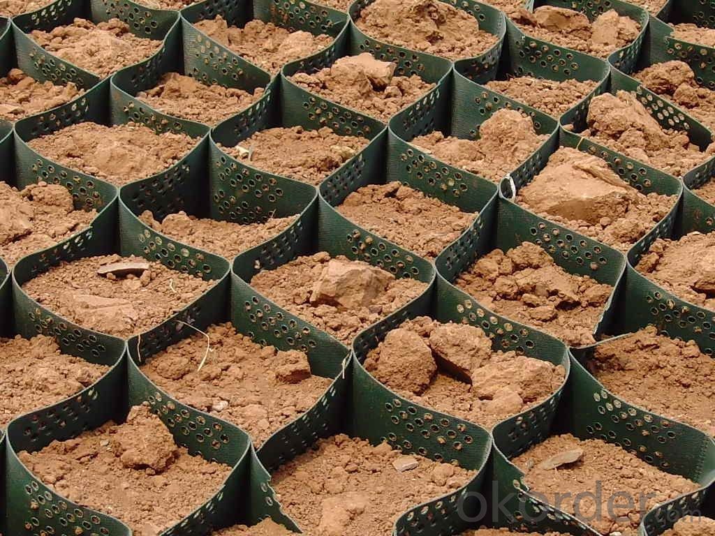 Plastic Grass Grid used for Land Protection