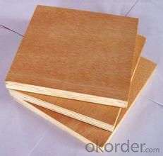 Waterproof Film Faced Plywood Comercial Plywood