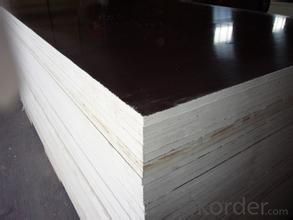 Different Types of Plywood Film Faced Plywood