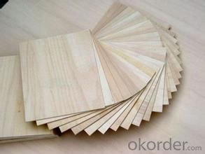 Construction Plywood Film Faced Plywood Plywood for Furniture