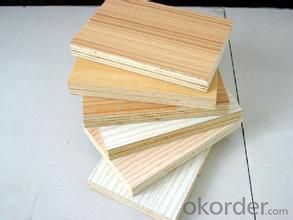 Factory Comercial Plywood Film Faced Plywood