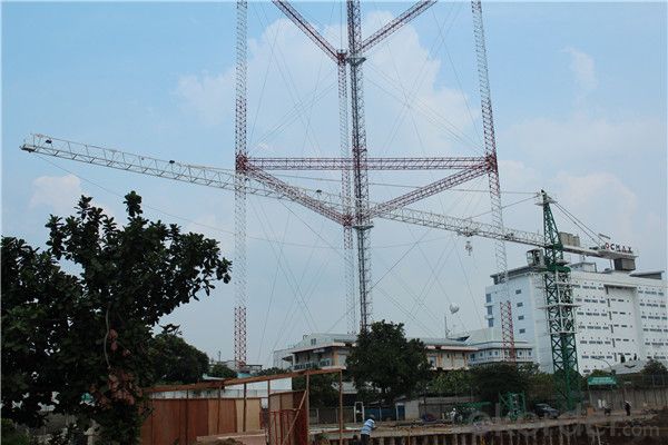 Tower Crane with Low Price (2t-16t, CE Certification)