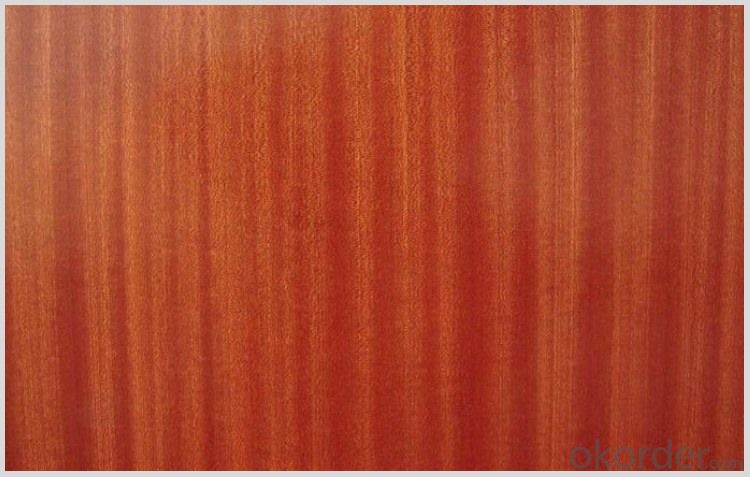 Supply High Quality Sapclli Wood with Low Price.