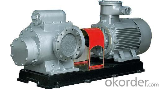 Twin Screw Pump for Oil Production and other Viscous Medium
