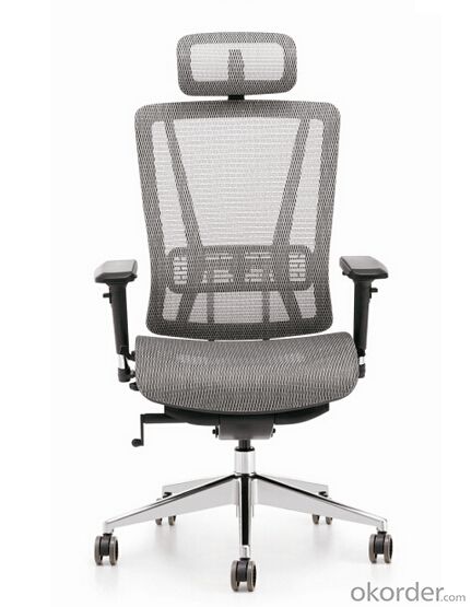 Office Mesh Chair with Adjustable Height CMAX1012