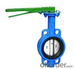 Butterfly Valve Electric Wafer Lug Type Eccentric