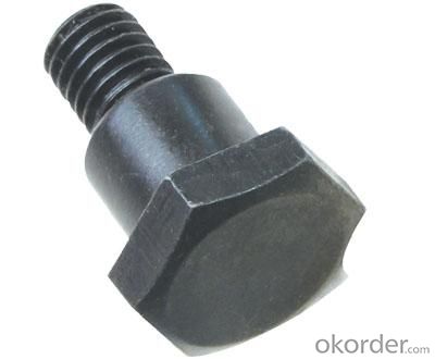 Bolt DIN933 DIN931 DIN603 with Good Quality