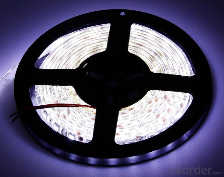 245V 240LEDS/Meter 3014 Led Strip Light