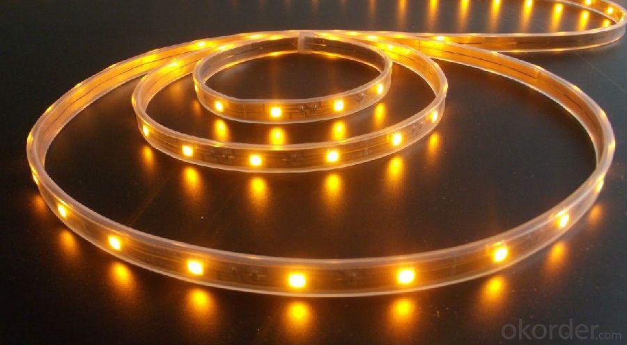 245V 240LEDS/Meter 3014 Led Strip Light