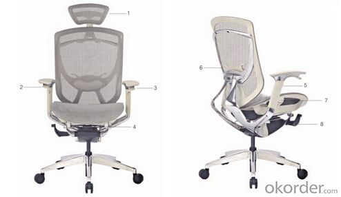 Machanism Office Reclining Chair for sale