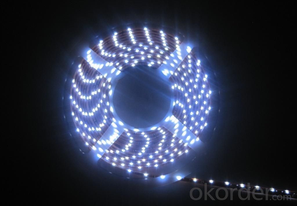 245V 240LEDS/Meter 3014 Led Strip Light