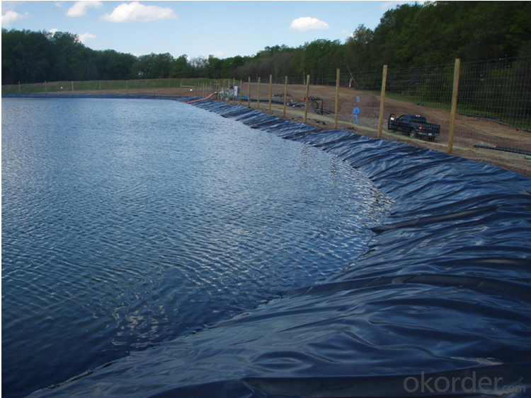 polymer and asphaltum EVA adhesive waterproofing membrane liner for dam and swimming pool
