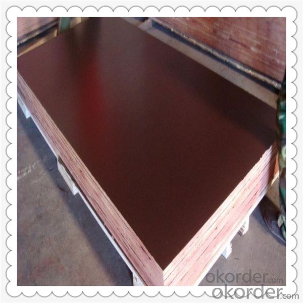 Commercial Plywood with High Quality 1220*2440*18mm Thickness
