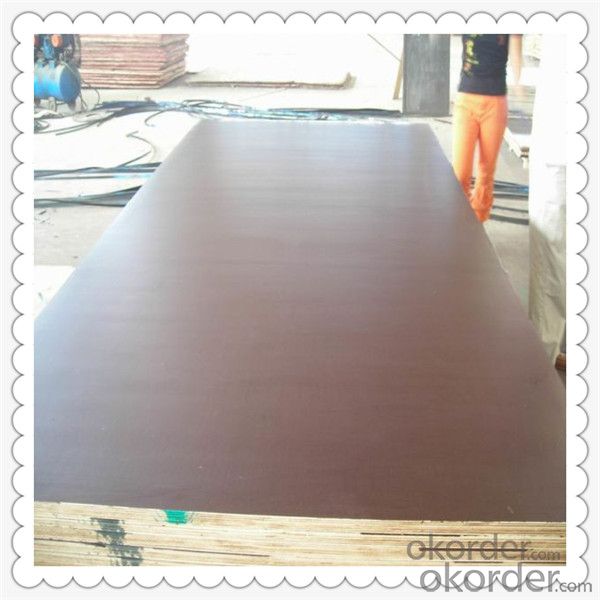 Commercial Plywood with High Quality 1220*2440*18mm Thickness