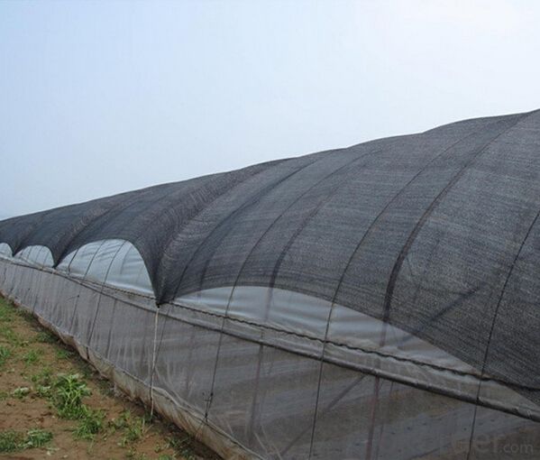 Sun Shade Netting HDPE Virgin Green White Agricultural Use