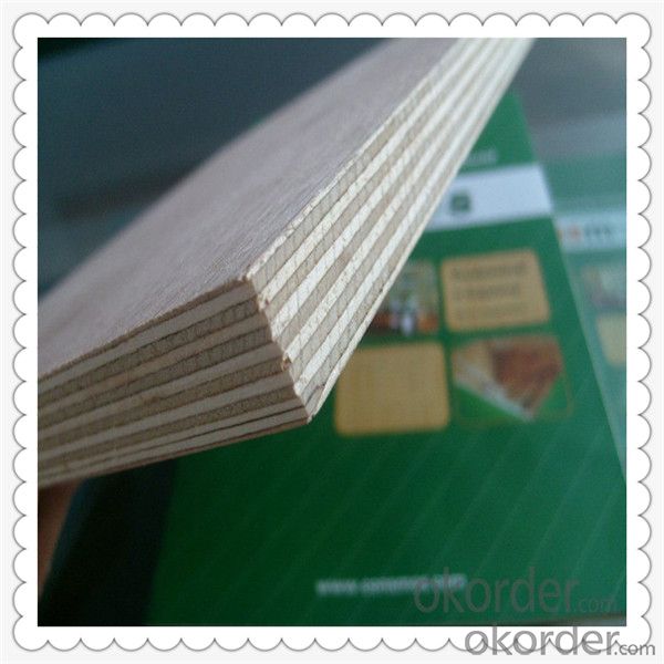 White Color Veneered Okoume Material Marine Plywood