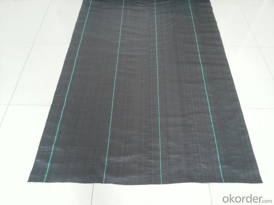 Buy Pp Woven Ground Cover Weed Barrier Plastic Fabric Mat Price