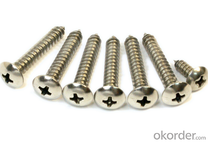 M4X25 White Zinc Plated Phillips Pan Head Self Tapping Screw