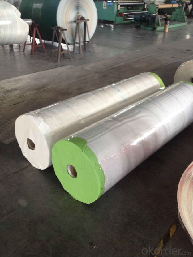 Green/White PVC/PU Conveyor Belt Used in Food Industry