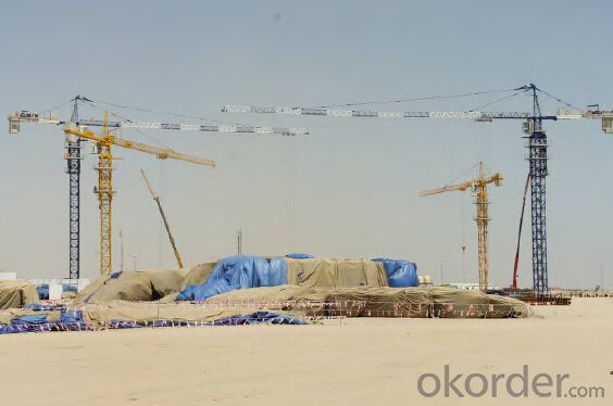 Model:D800-42 Tower Crane with Multiple Operation Modes and Wide Application