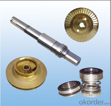 Pump Impeller for Gear Water Pump with High Quality