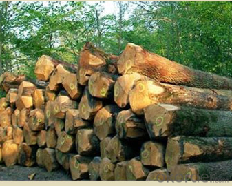China Environmental 175Fir Wood Block Board For Furniture