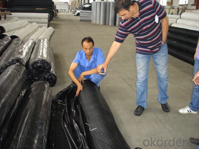Polyester Geogrids Uniaxial & Biaxial Warp-knitting