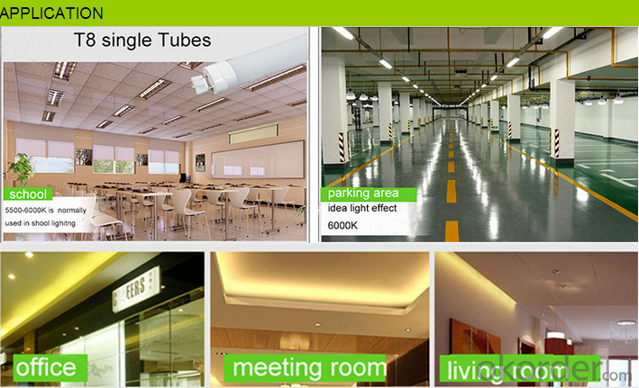 T5 T8 LED Tube Light Best Price 3 W To 35W