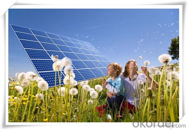 290W Mono and Poly 260-320W Solar Panel CE/IEC/TUV/UL Certificate Non-Anti-Dumping Solar Cells