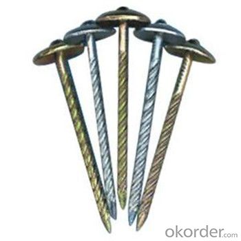 Galvanized Umbrella Head Rooging Nails Polished Bright Iron Material