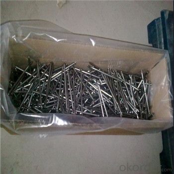 Electro Galvanized Common Wire Nail/Common Iron Wire Nails/Bright Common Nails