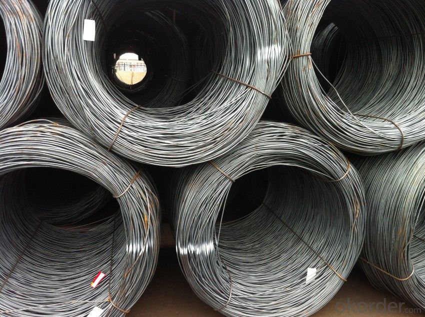 Hot Rolled Wire rods in Grade SAE1008 with Best Price