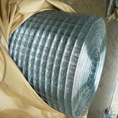 Hot dipped Galvanized Hexagonal Wire Netting after Weaving for Chicken