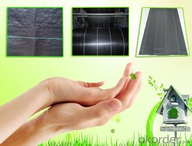 PP Woven Silt Fence/Agricultural Weed Mat/Land Scape Fabric/